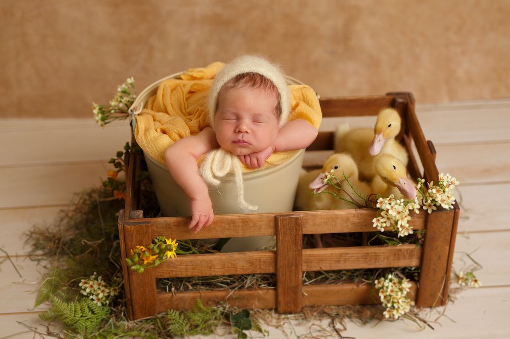 Photograph by Александрова Арина