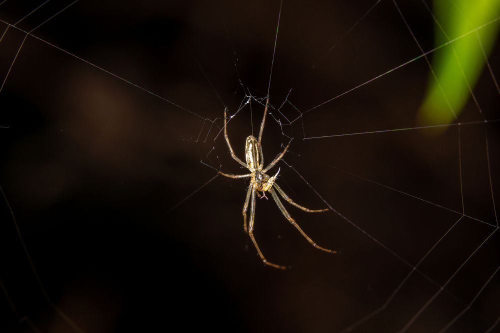 Photograph by Руслан Лесков