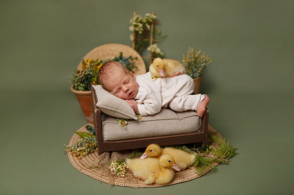 Photograph by Александрова Арина