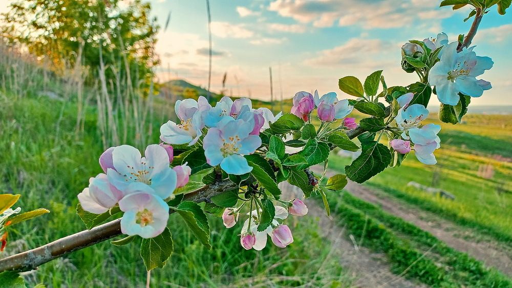 Photograph by Александр