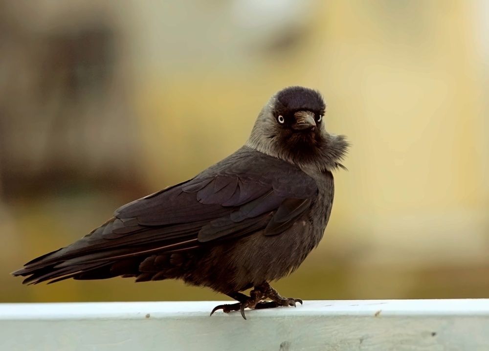 Photograph by Татьяна Слесарева