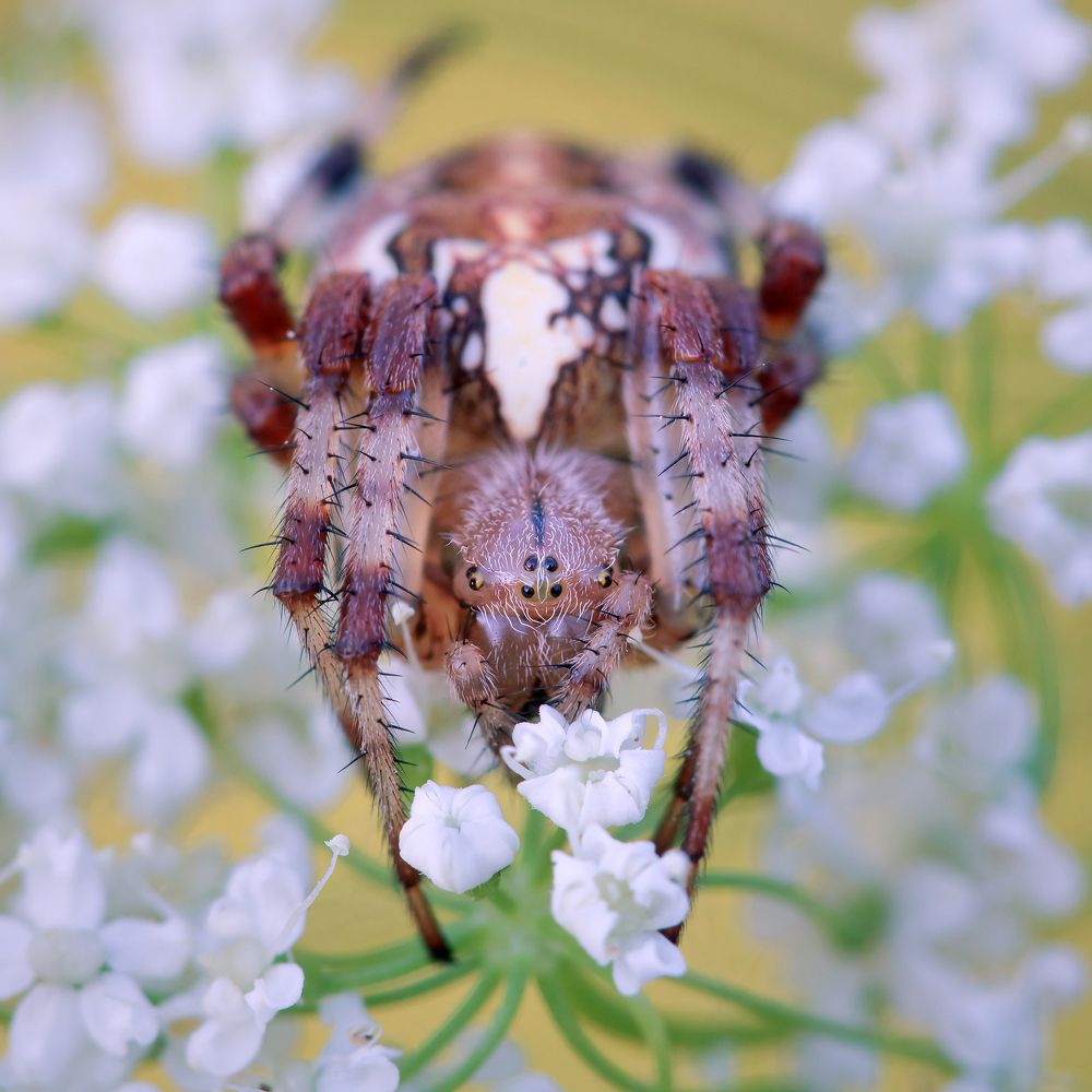 Photograph by Алексей