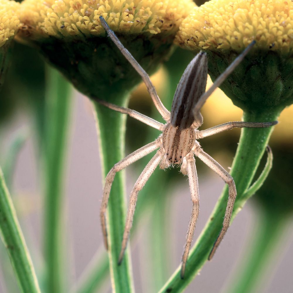 Photograph by Алексей