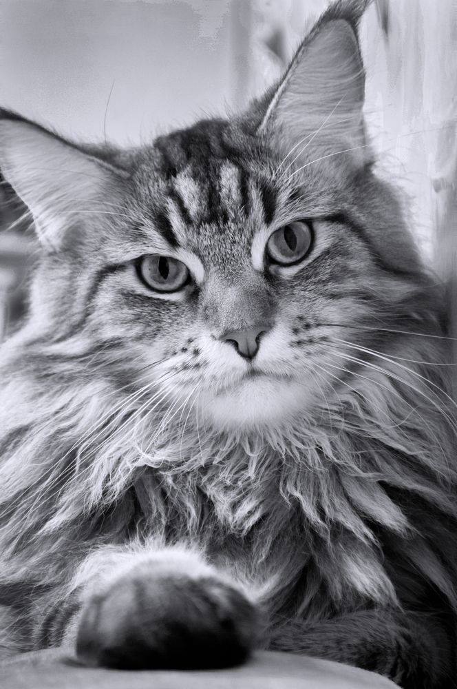 Photograph by Динара Богатырева