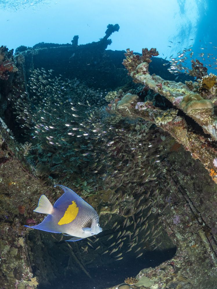 Photograph by Diogo Benchimol