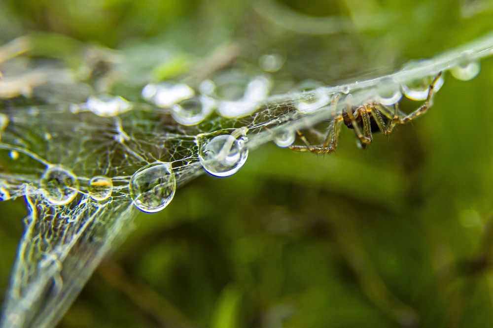 Photograph by Андрей