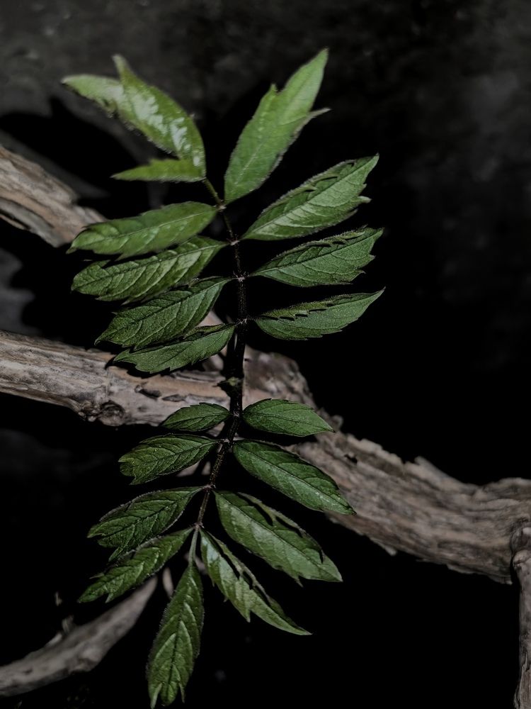 Photograph by Ирина Тихая