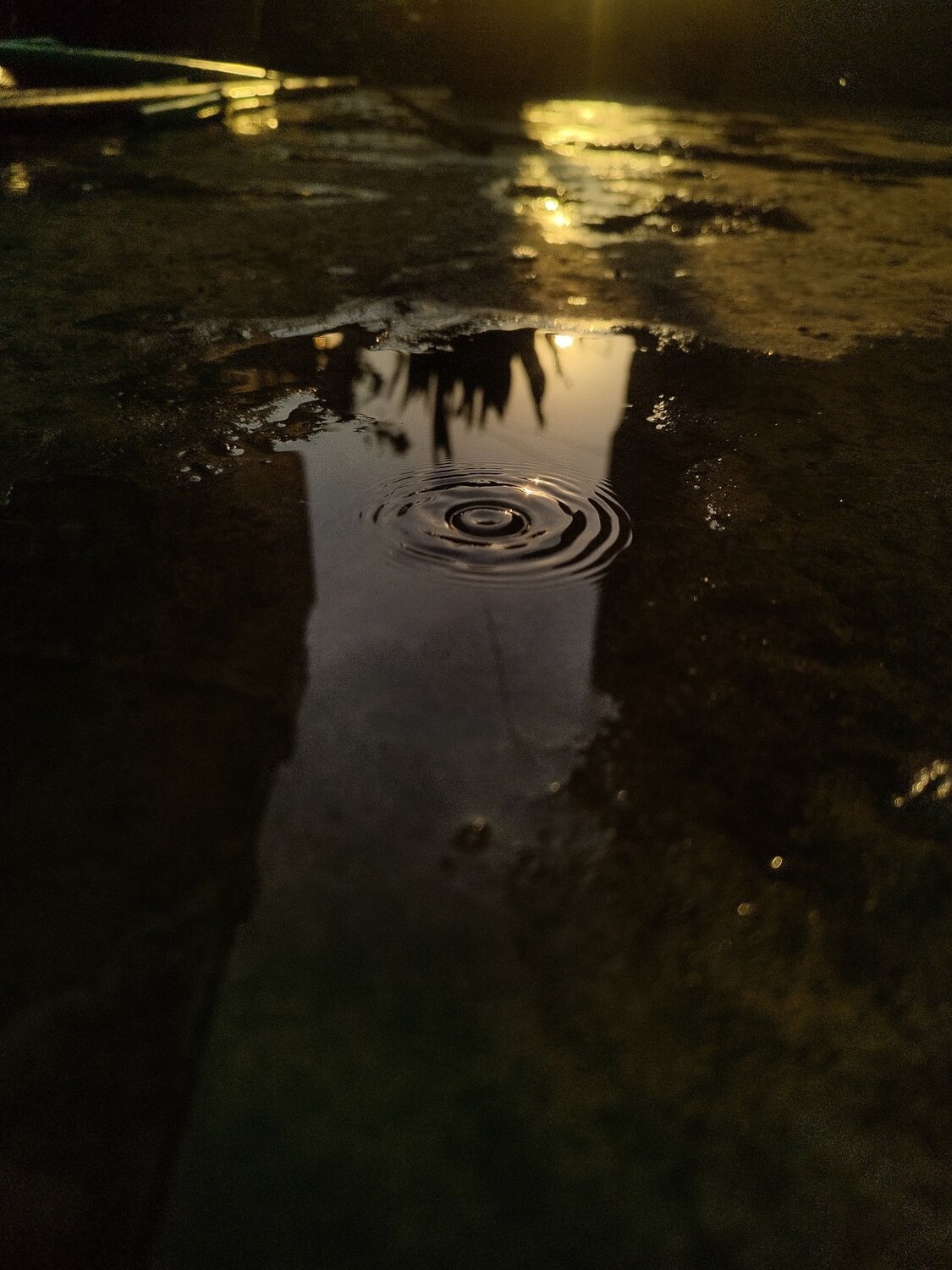 Photo #10558325