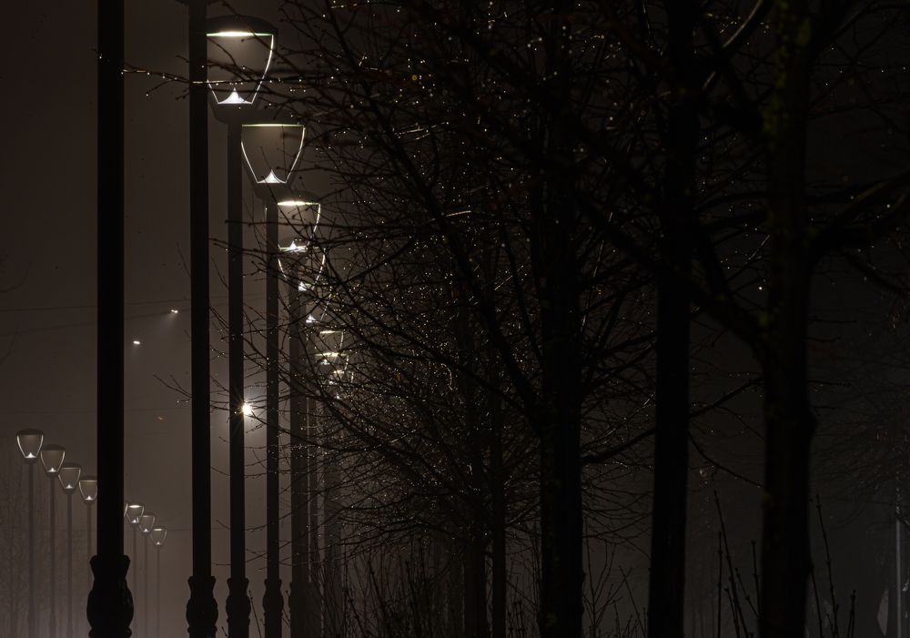 Photograph by Дмитрий Макинский