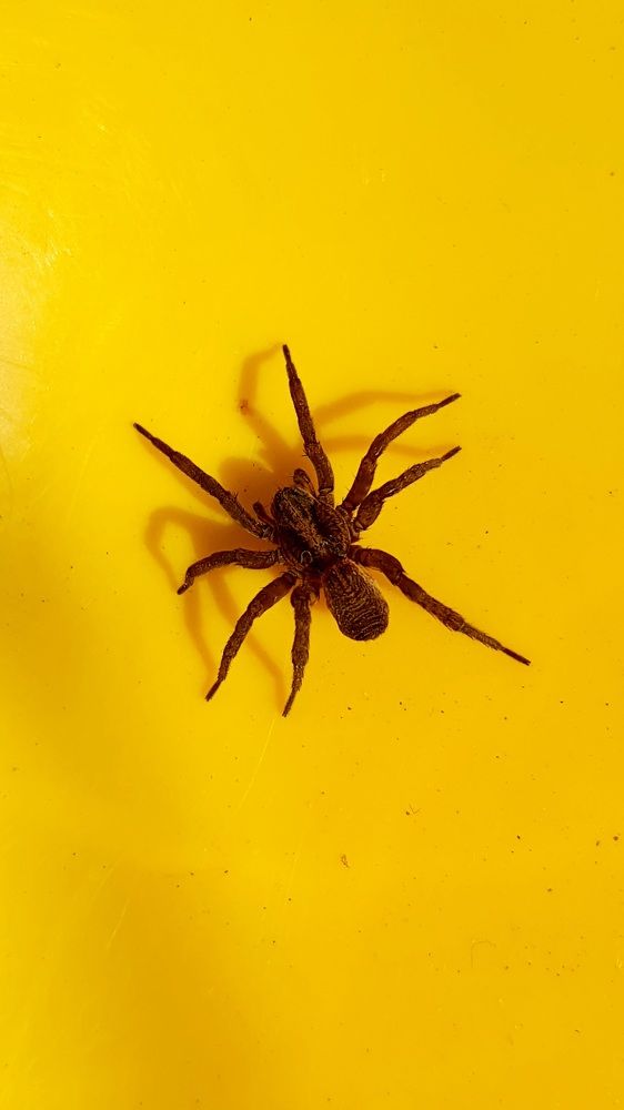 Photograph by Виктория Образцова