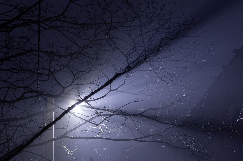 Photograph by Дмитрий Макинский