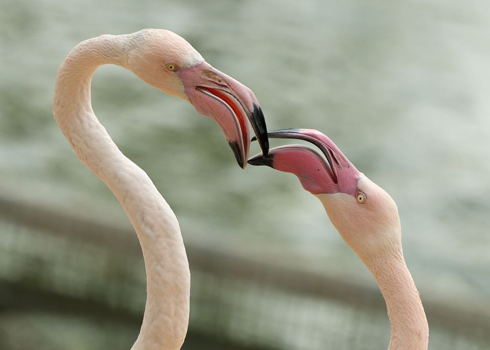 Photograph by Lena Melnikova