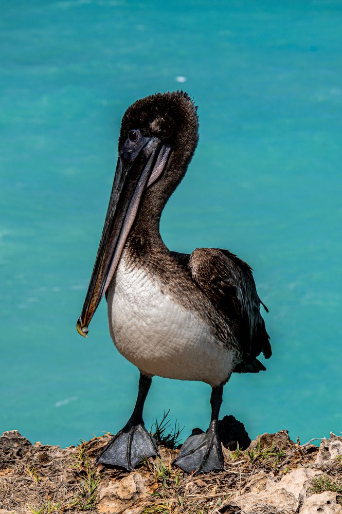 Photograph by Nora Cheprasova