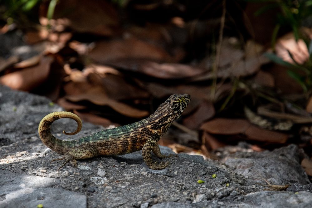 Photograph by Nora Cheprasova