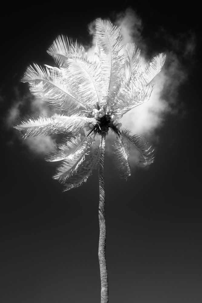 Sublimation - States of Matter