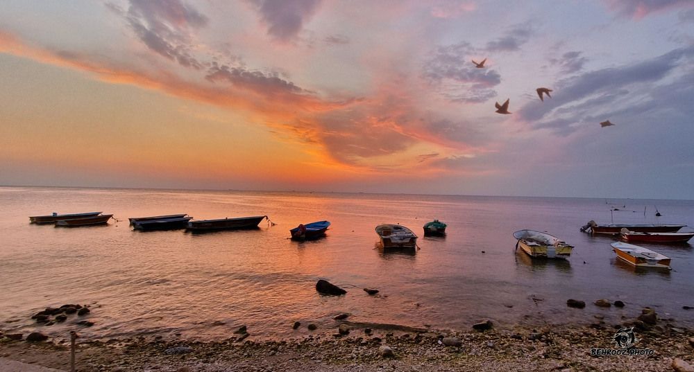 Фотография автора behroozroosta