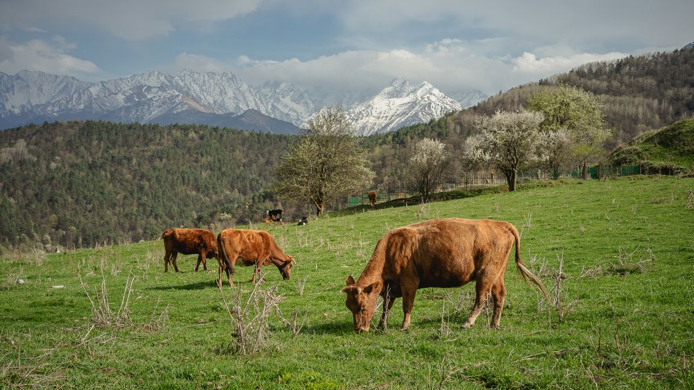 Photograph by Ирина Кравченко