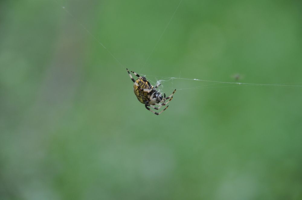 Photograph by Евгений Захаров