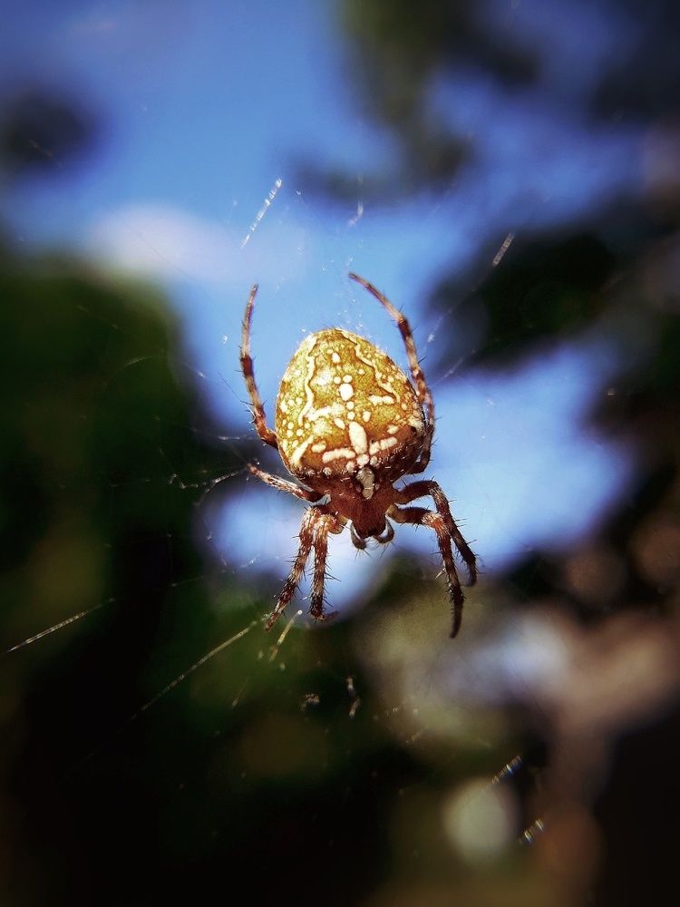 Photograph by Марина Мальцева