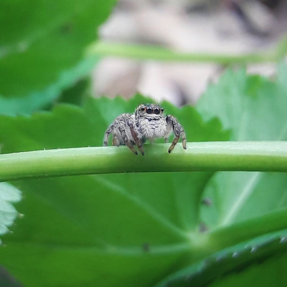Photograph by Марина Мальцева