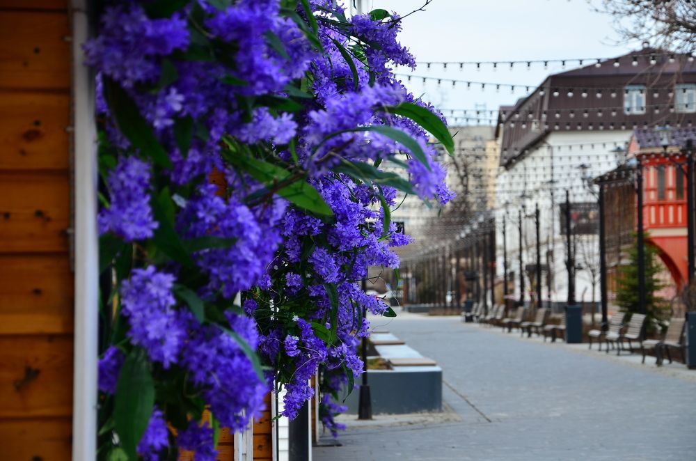 Photograph by Роман