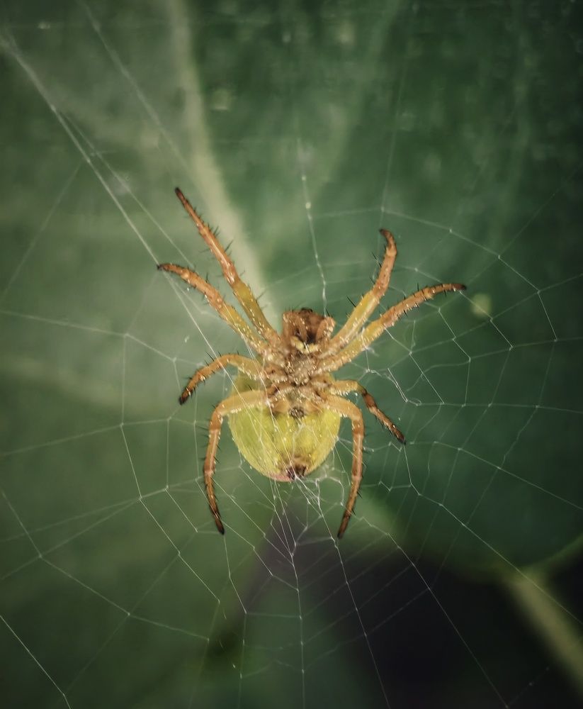 Photograph by Михаил Саидов