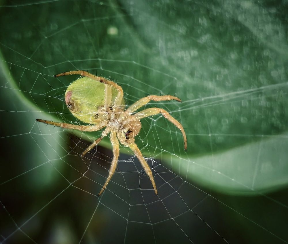 Photograph by Михаил Саидов