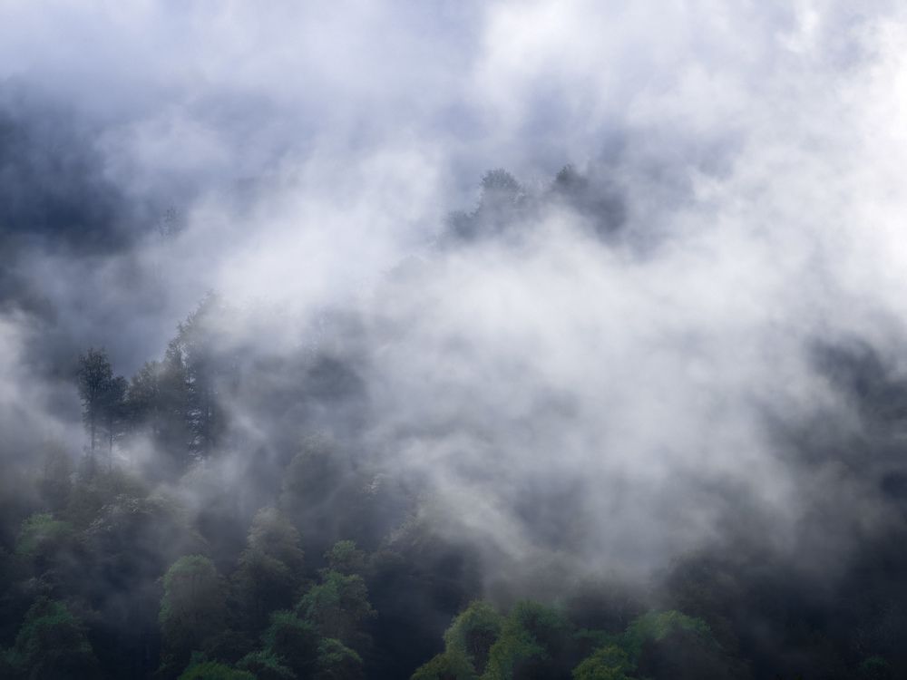 Photograph by Евгений Порсов