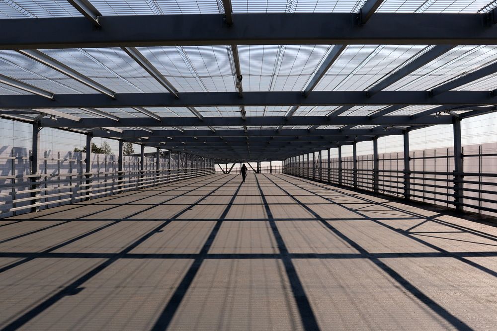 Фотография автора Колосова Елена