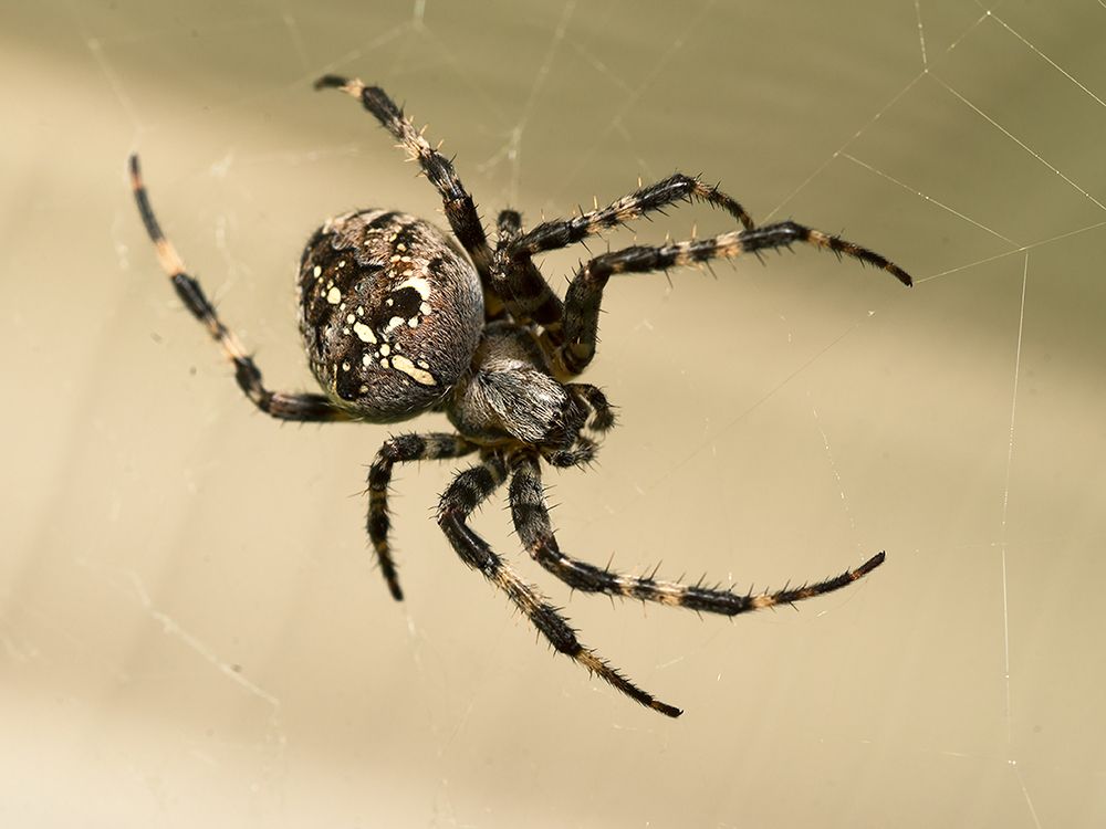 Photograph by Смирнов Алексей