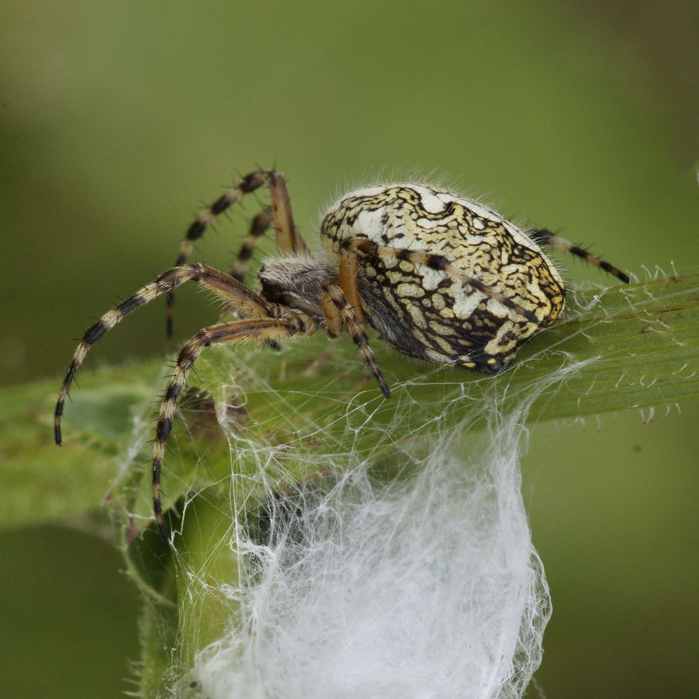 Photograph by Смирнов Алексей