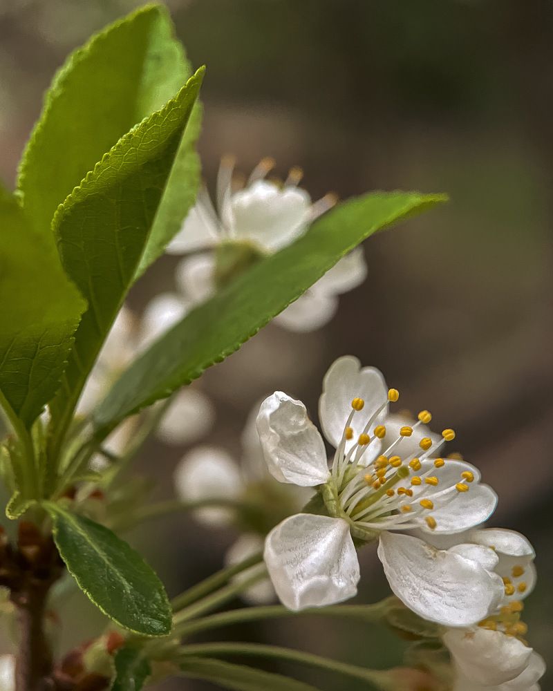Photograph by Ольга Дорошенко