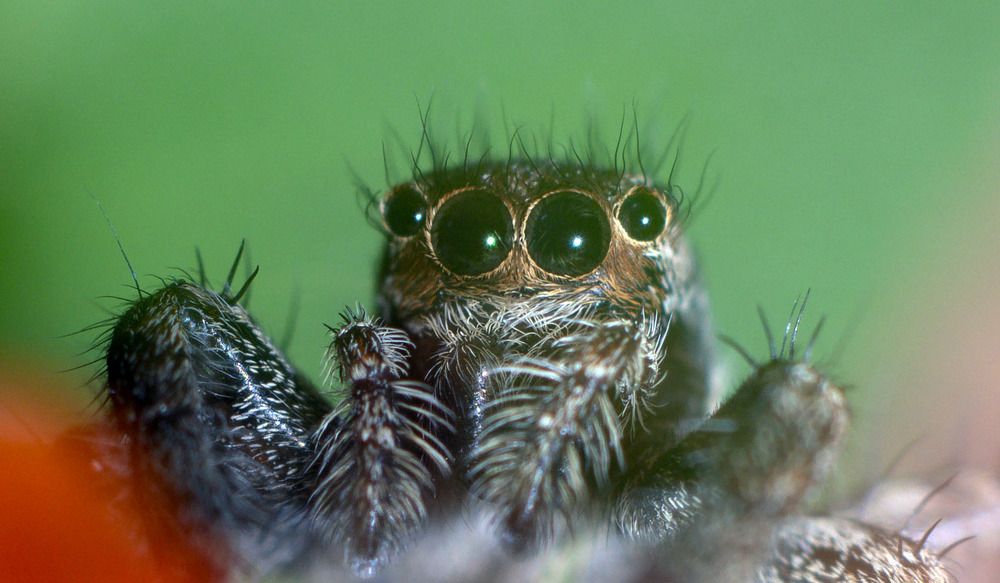 Photograph by Владимир М