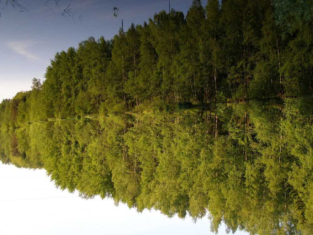 Photograph by Александр Семенов