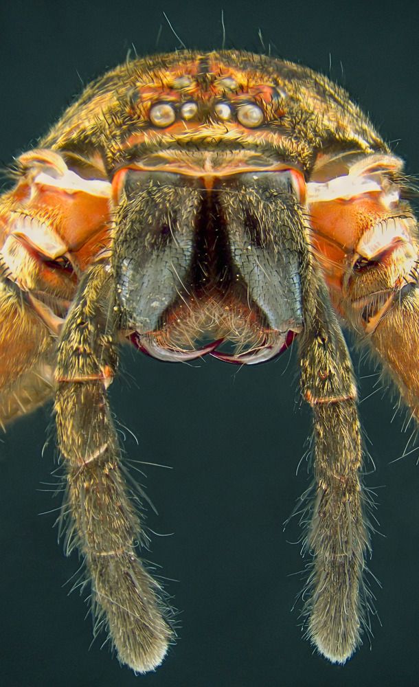 Photograph by QUYET NGUYEN TRONG