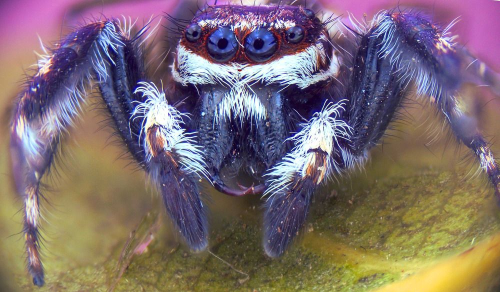 Photograph by QUYET NGUYEN TRONG