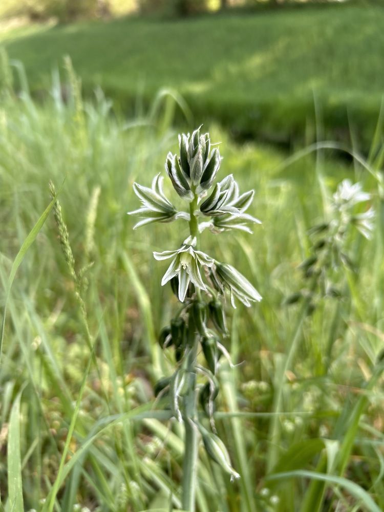 Фотография автора Füleki Elvíra