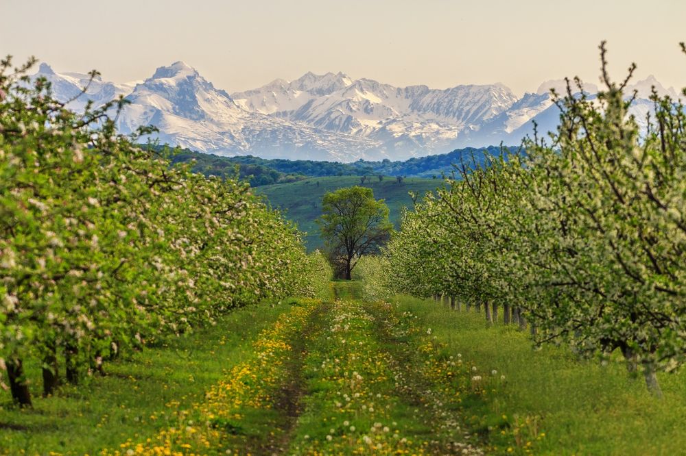 Фотография автора Галина Шепелева