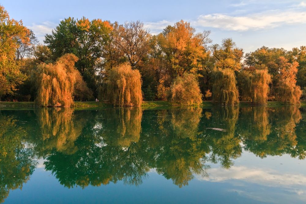 Фотография автора Галина Шепелева