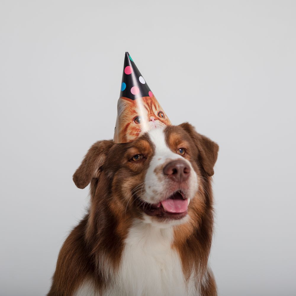 День варенья