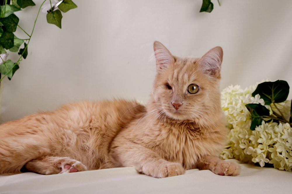 Photograph by Наталья Канарейкина