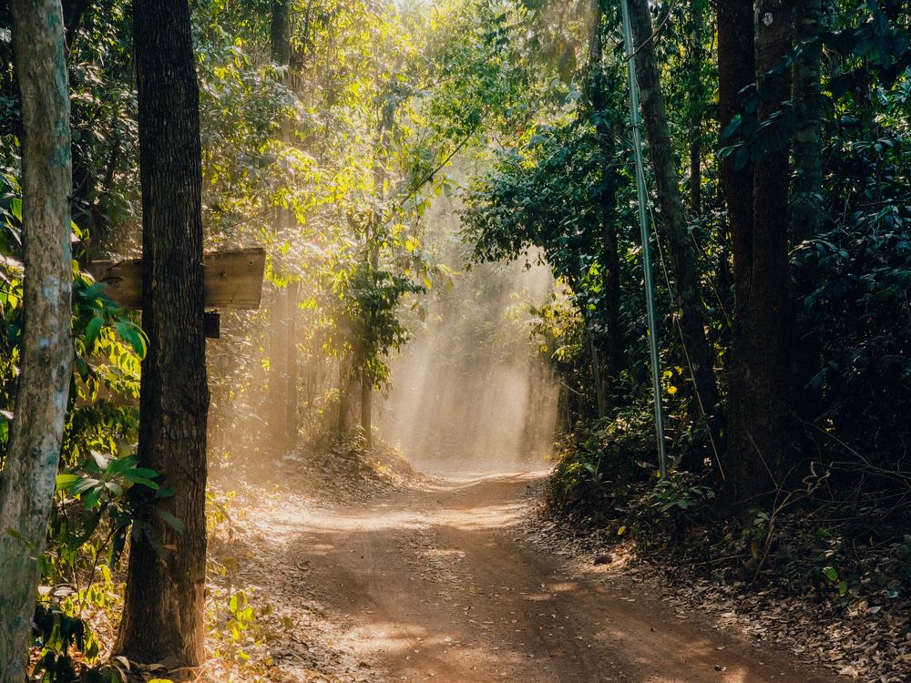 Photograph by Nhan Nguyen