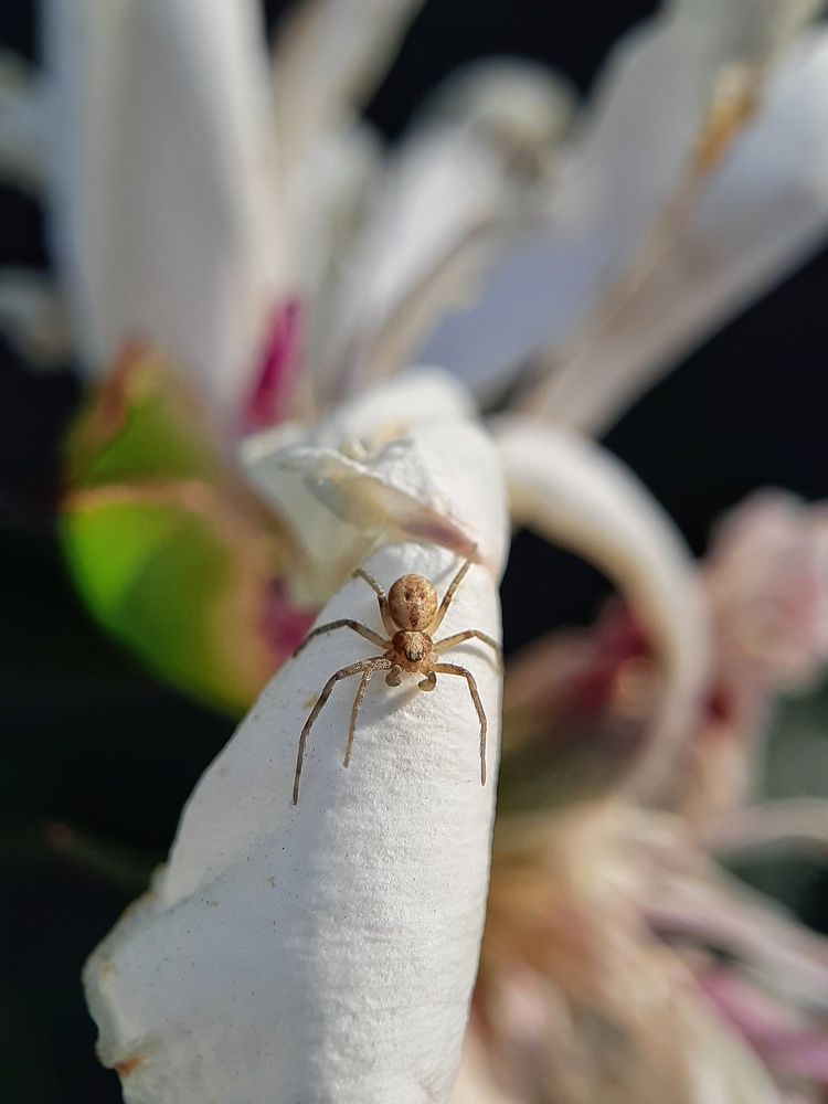 Photograph by Светлана Рогачева