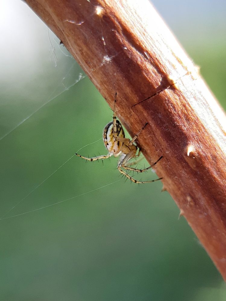 Photograph by Светлана Рогачева