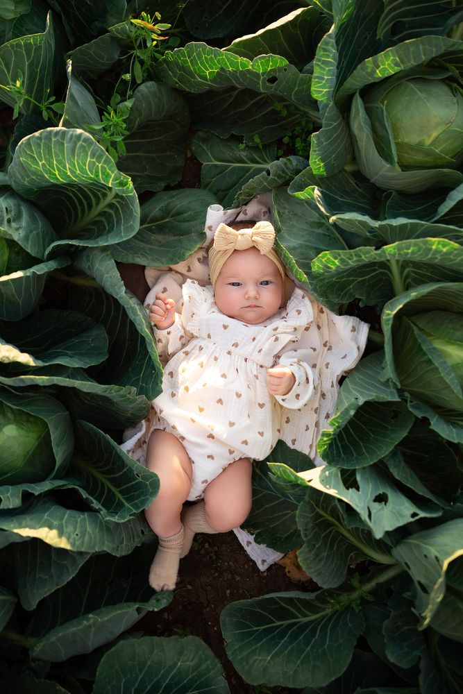 Photograph by Евгения Капралова