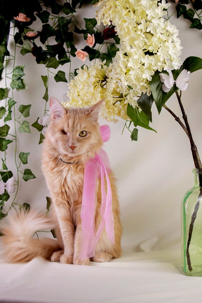 Photograph by Наталья Канарейкина