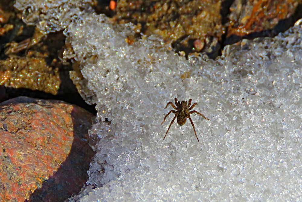 Photograph by Галина Пименова