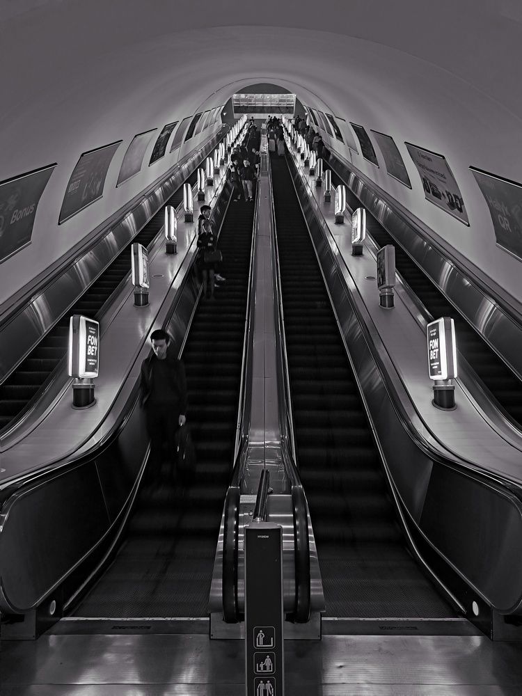 Photograph by Ольга
