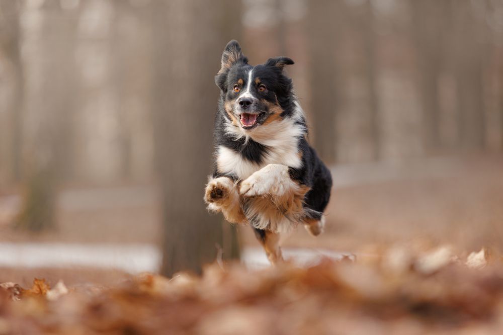 Photograph by Яна Нарбутович