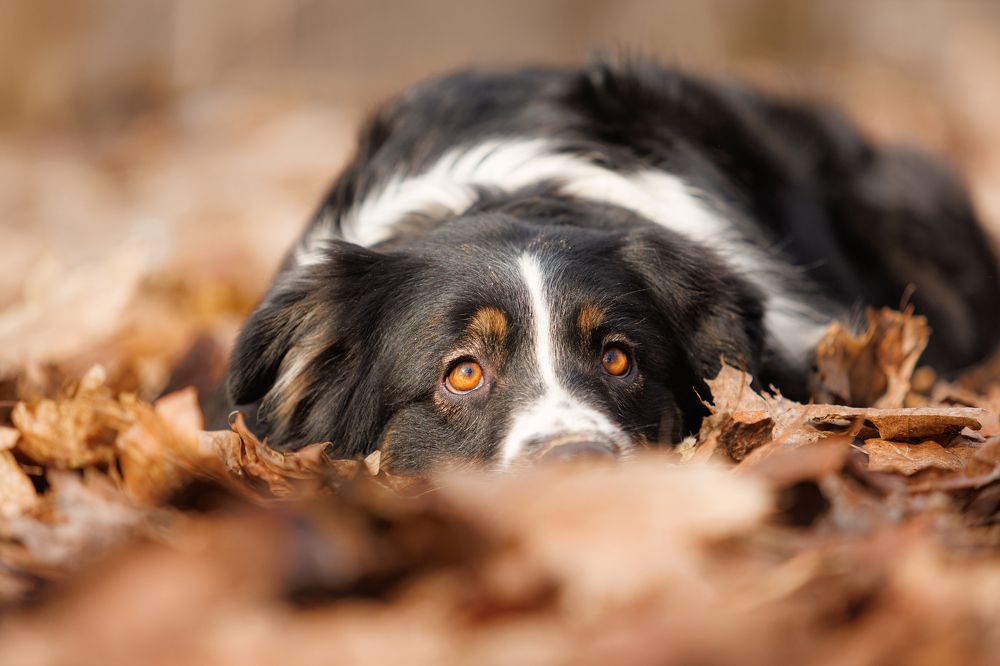 Photograph by Яна Нарбутович